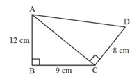  Bab 13: Teorem Pythagoras 