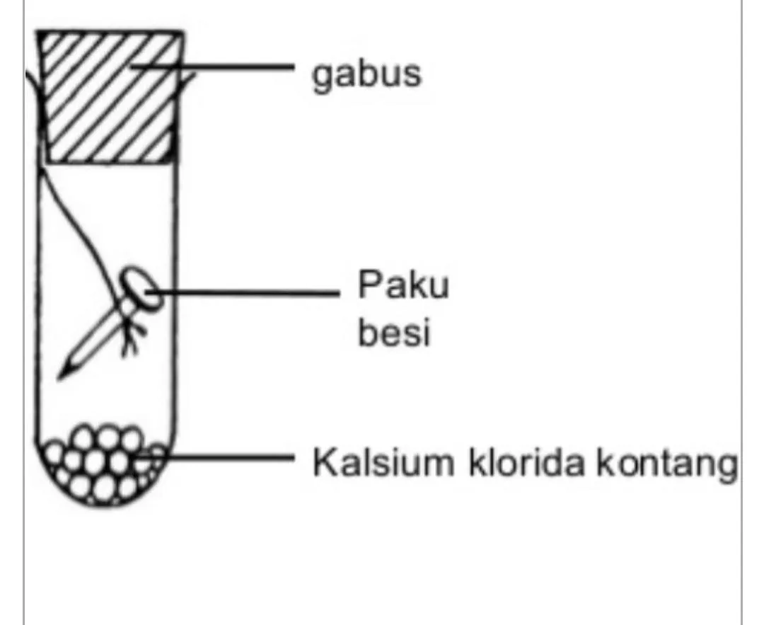 Bab 5 Air Dan Larutan