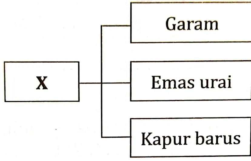 Bab 8 Kerajaan Kedah, Kelantan, Negeri Sembilan dan Perlis