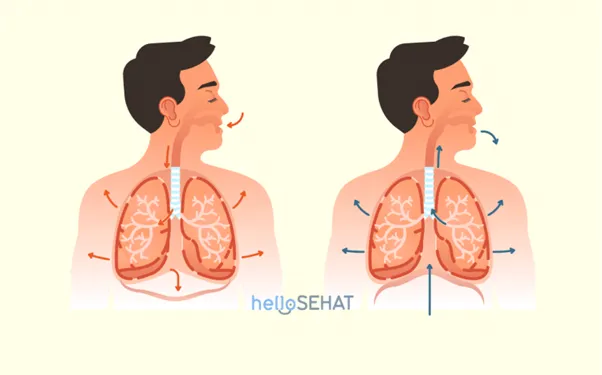  Bab 5: Termokimia