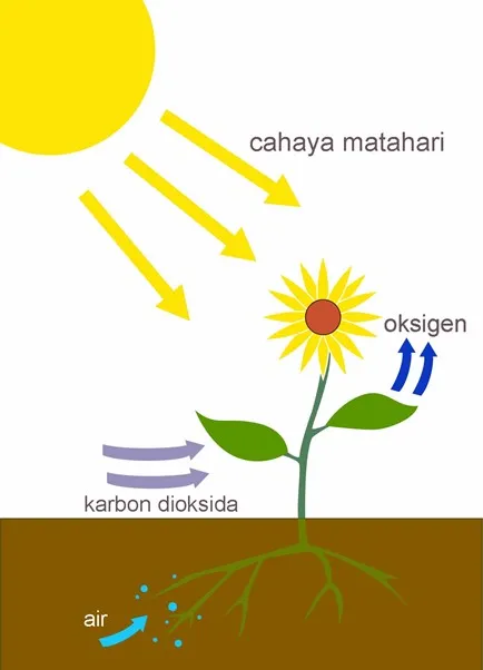  Bab 5: Termokimia