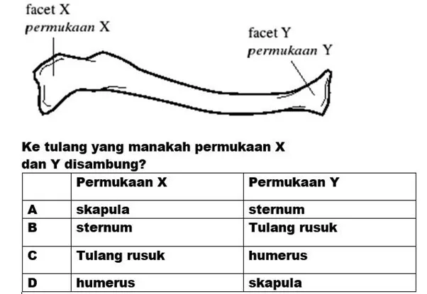  Bab 14: Sokongan Dan Pergerakan Dalam Manusia Dan Haiwan