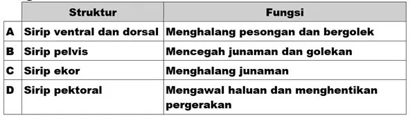  Bab 14: Sokongan Dan Pergerakan Dalam Manusia Dan Haiwan