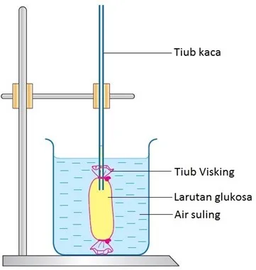 Bab 3 : Pergerakan Bahan Merentas Membran Plasma