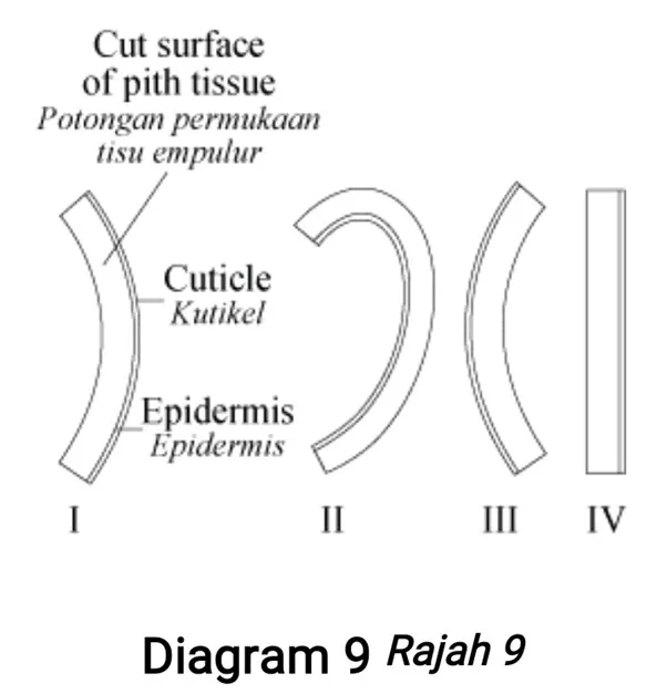 Bab 3 : Pergerakan Bahan Merentas Membran Plasma