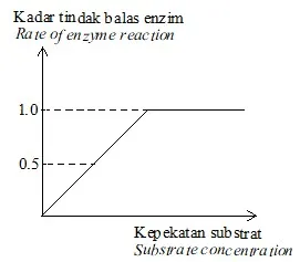  Bab 5: Metabolisme Dan Enzim 