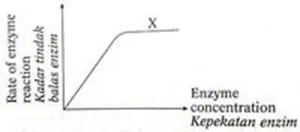  Bab 5: Metabolisme Dan Enzim 