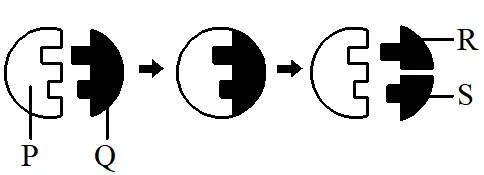  Bab 5: Metabolisme Dan Enzim 