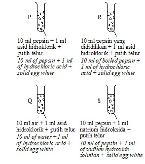  Bab 5: Metabolisme Dan Enzim 