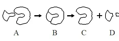  Bab 5: Metabolisme Dan Enzim 