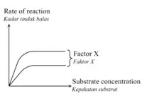  Bab 5: Metabolisme Dan Enzim 