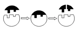  Bab 5: Metabolisme Dan Enzim 