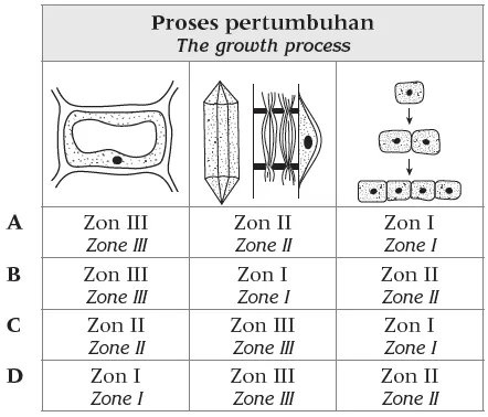 Bab 1 Organisasi Tisu Tumbuhan dan Pertumbuhan