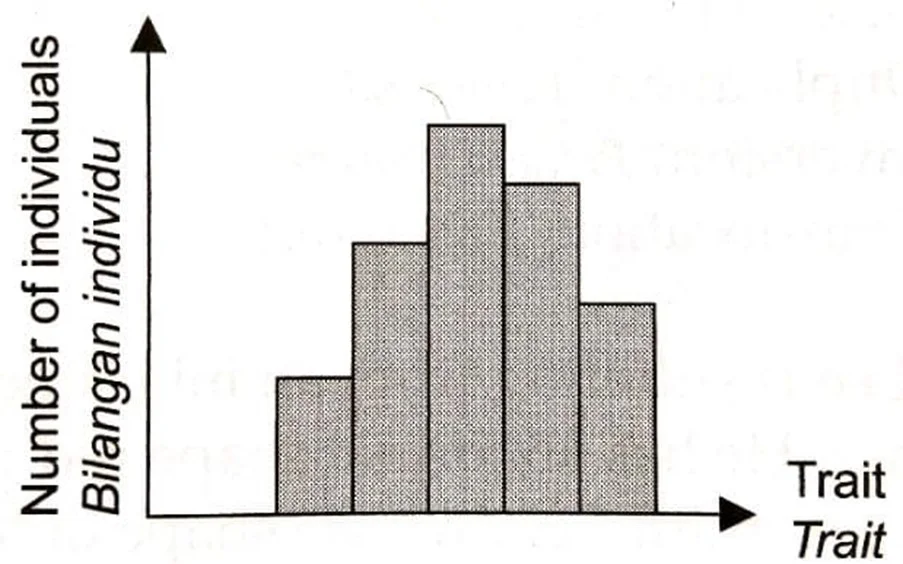  Bab 12: Variasi 