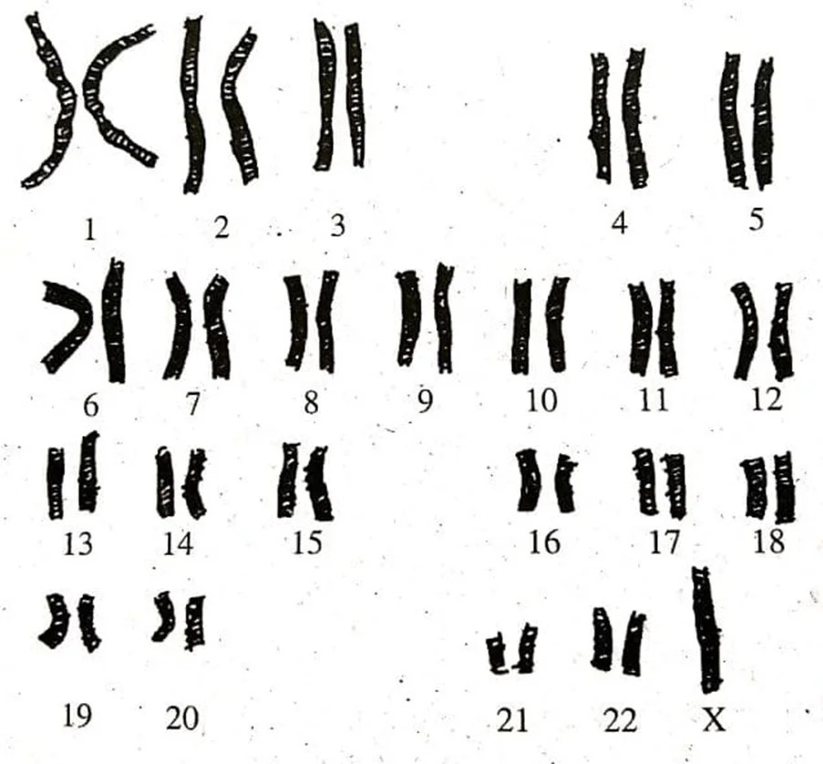  Bab 12: Variasi 