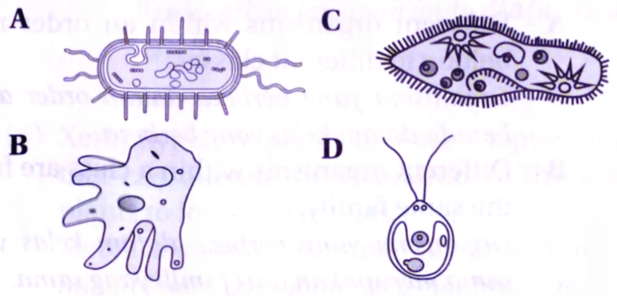 Bab 8: Biodiversiti 