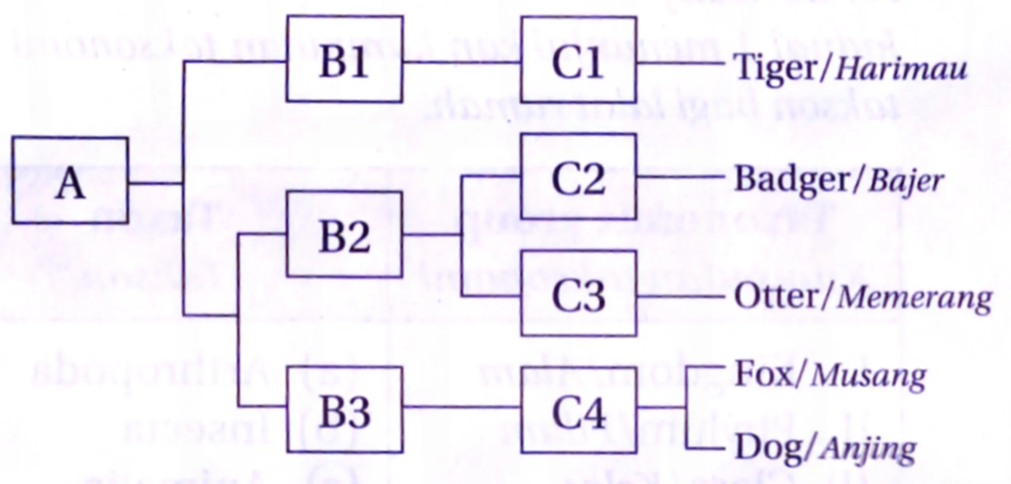 Bab 8: Biodiversiti 